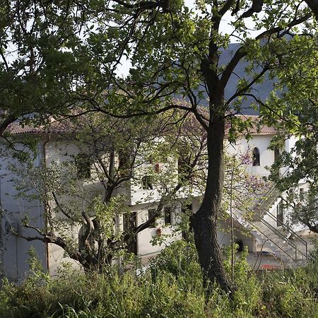 Kavoulakos Studios Skoutari Exterior photo